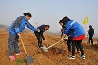 植樹(shù)節(jié)